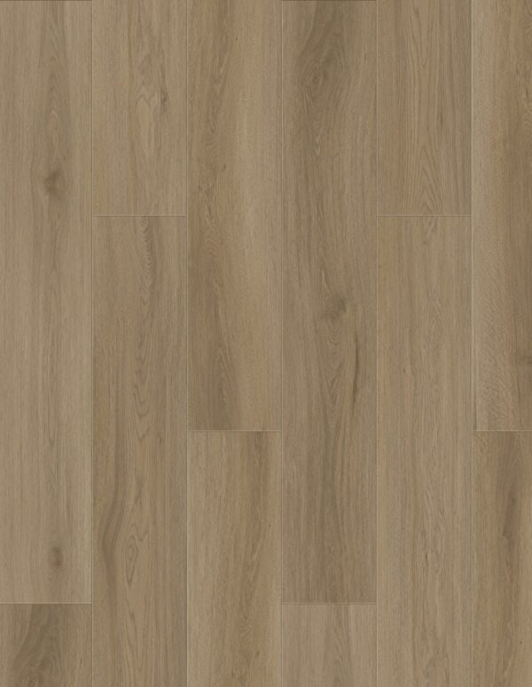 7005 Pale Oak
