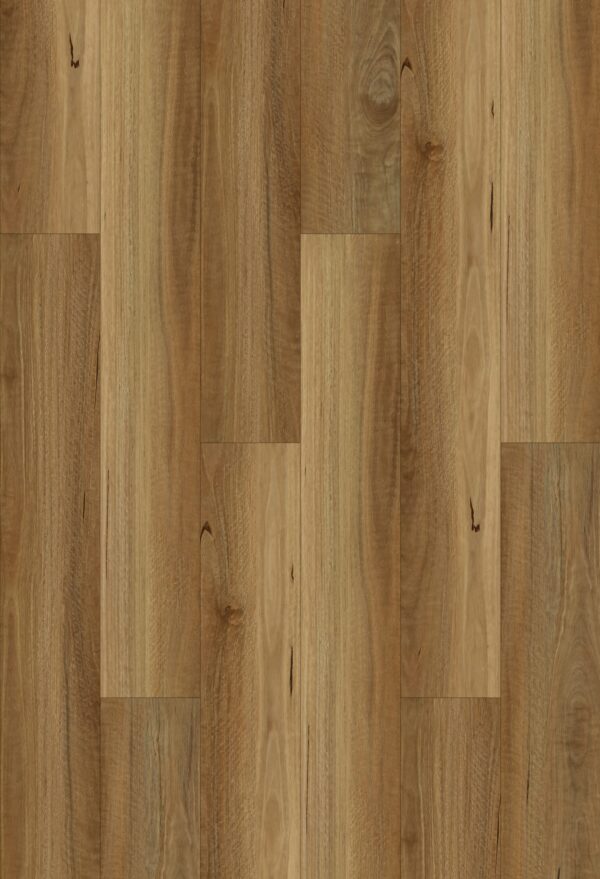 7005 Nsw Spotted Gum