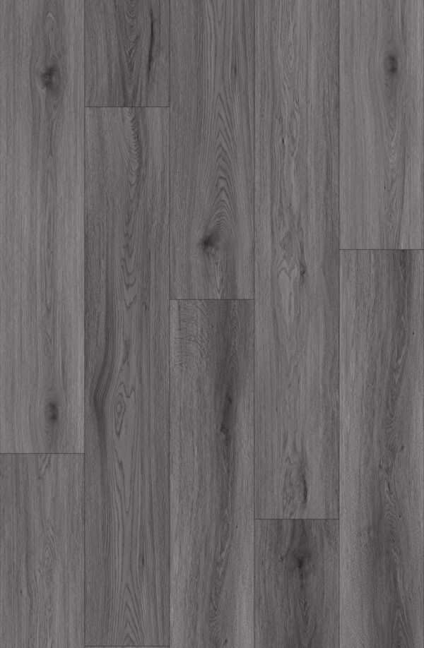 7005 Dim Grey