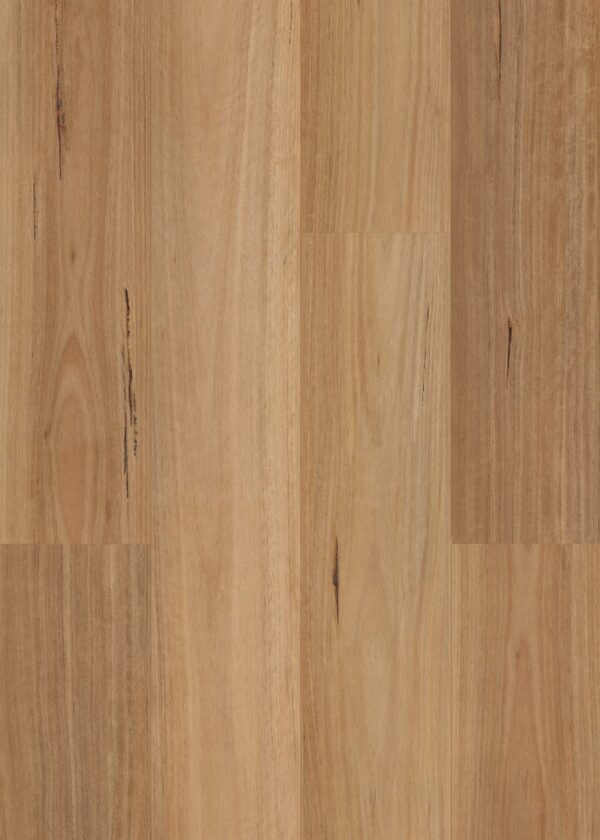 9005 Native Blackbutt