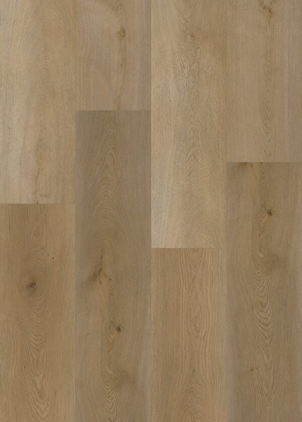 9005 Blonde Oak