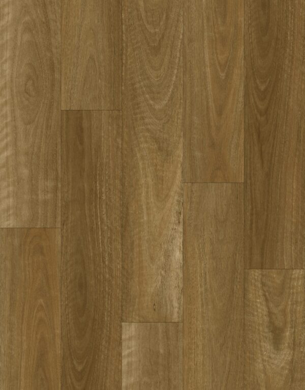 9005 Native Spotted Gum